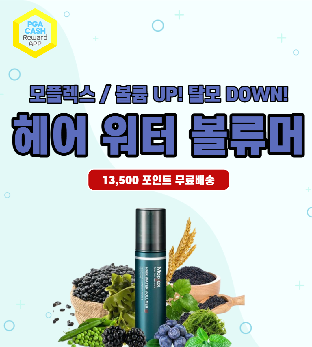 모플렉스 헤어 워터 볼류머