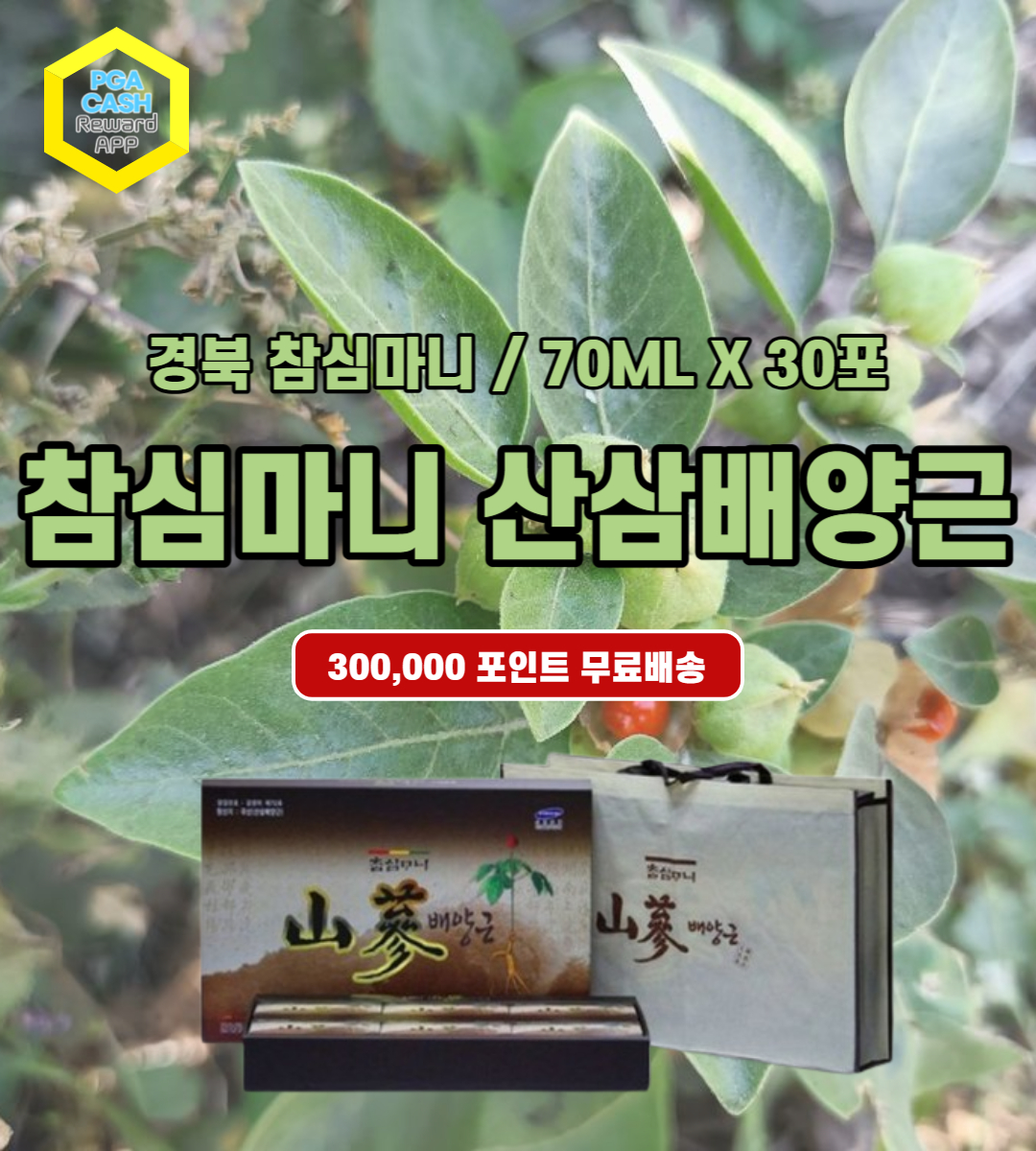 경북 참심마니 산삼배양근 70ML X 30포